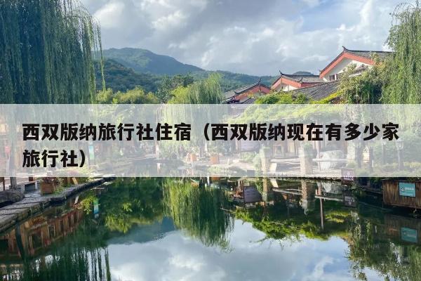 西双版纳旅行社住宿（西双版纳现在有多少家旅行社）