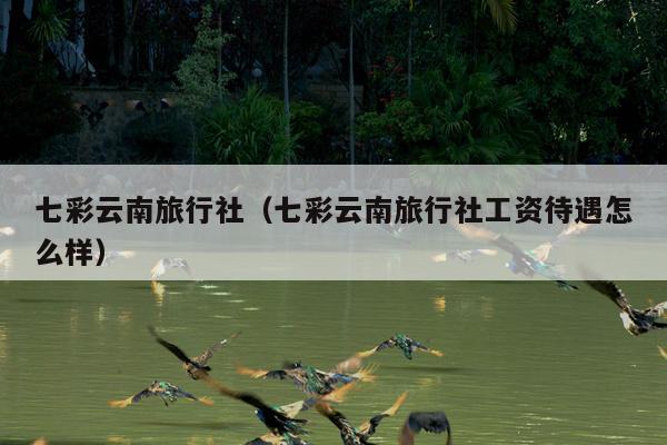 七彩云南旅行社（七彩云南旅行社工资待遇怎么样）