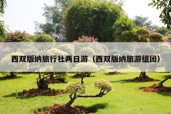 西双版纳旅行社两日游（西双版纳旅游组团）