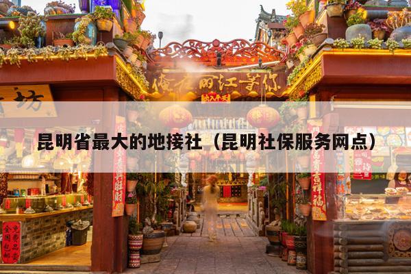 昆明省最大的地接社（昆明社保服务网点）