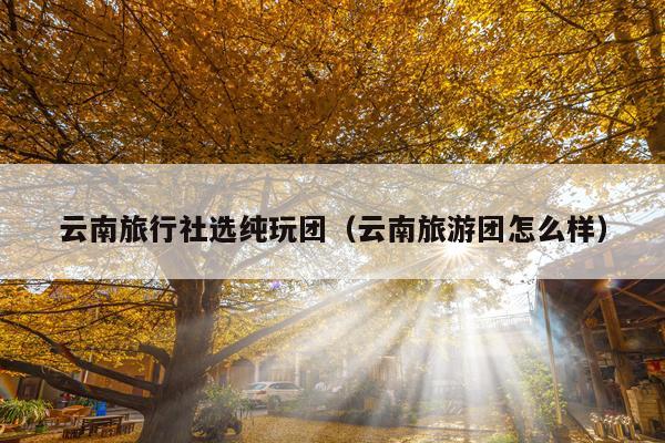 云南旅行社选纯玩团（云南旅游团怎么样）