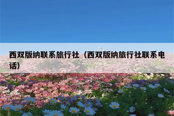 西双版纳联系旅行社（西双版纳旅行社联系电话）