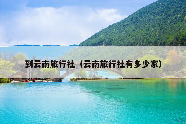 到云南旅行社（云南旅行社有多少家）