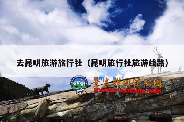 去昆明旅游旅行社（昆明旅行社旅游线路）