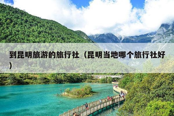 到昆明旅游的旅行社（昆明当地哪个旅行社好）