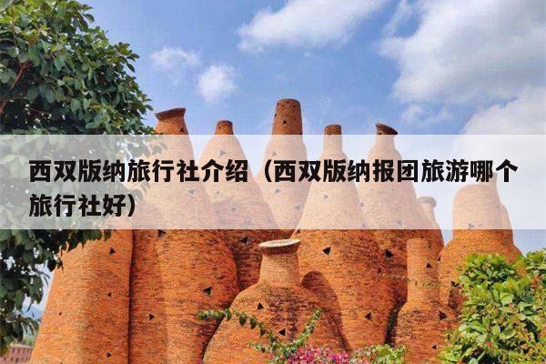 西双版纳旅行社介绍（西双版纳报团旅游哪个旅行社好）