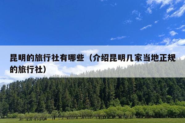 昆明的旅行社有哪些（介绍昆明几家当地正规的旅行社）