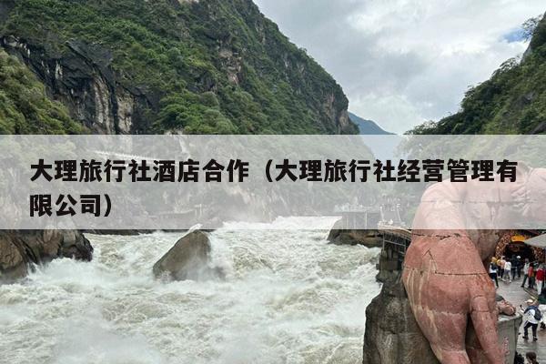 大理旅行社酒店合作（大理旅行社经营管理有限公司）