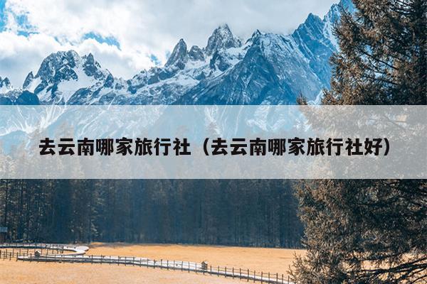 去云南哪家旅行社（去云南哪家旅行社好）