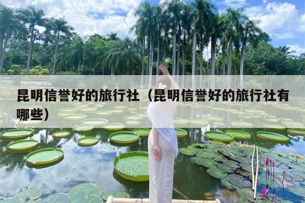 昆明信誉好的旅行社（昆明信誉好的旅行社有哪些）