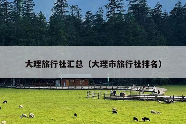 大理旅行社汇总（大理市旅行社排名）