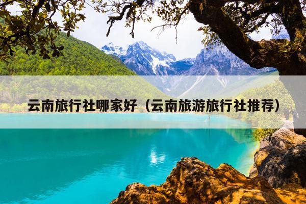 云南旅行社哪家好（云南旅游旅行社推荐）