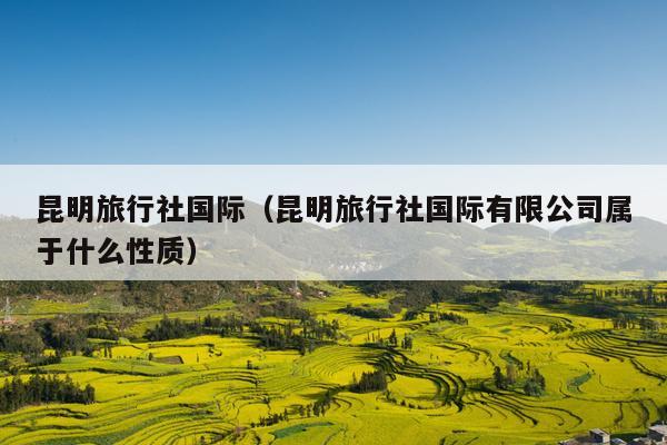 昆明旅行社国际（昆明旅行社国际有限公司属于什么性质）