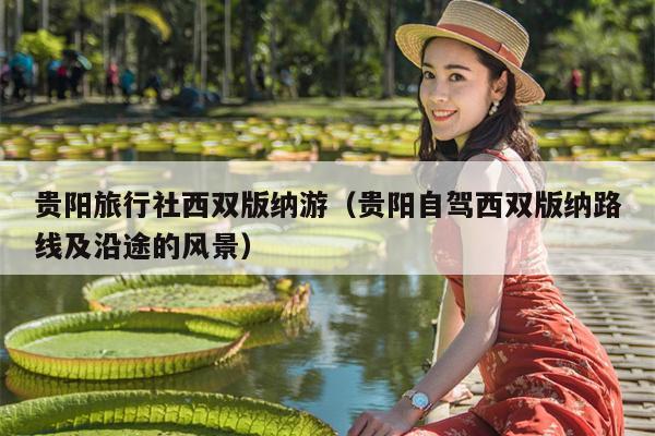 贵阳旅行社西双版纳游（贵阳自驾西双版纳路线及沿途的风景）