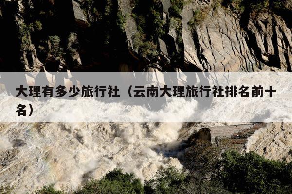 大理有多少旅行社（云南大理旅行社排名前十名）