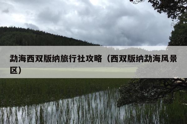 勐海西双版纳旅行社攻略（西双版纳勐海风景区）