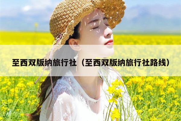 至西双版纳旅行社（至西双版纳旅行社路线）