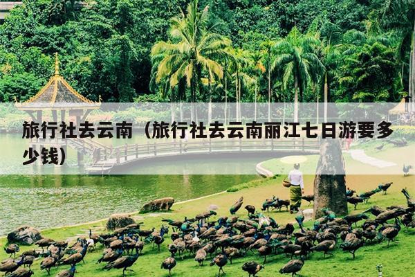 旅行社去云南（旅行社去云南丽江七日游要多少钱）