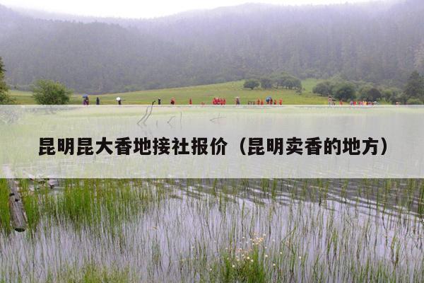 昆明昆大香地接社报价（昆明卖香的地方）