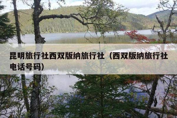昆明旅行社西双版纳旅行社（西双版纳旅行社电话号码）
