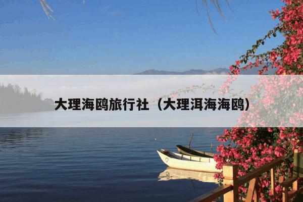 大理海鸥旅行社（大理洱海海鸥）