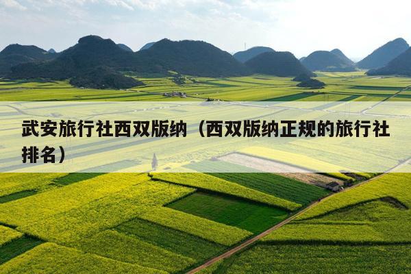 武安旅行社西双版纳（西双版纳正规的旅行社排名）