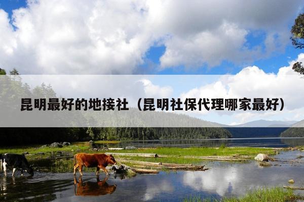 昆明最好的地接社（昆明社保代理哪家最好）