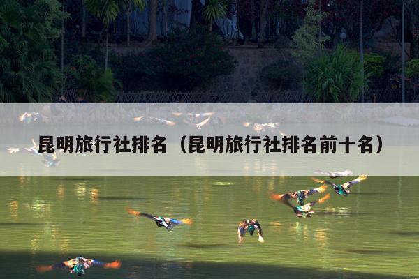 昆明旅行社排名（昆明旅行社排名前十名）
