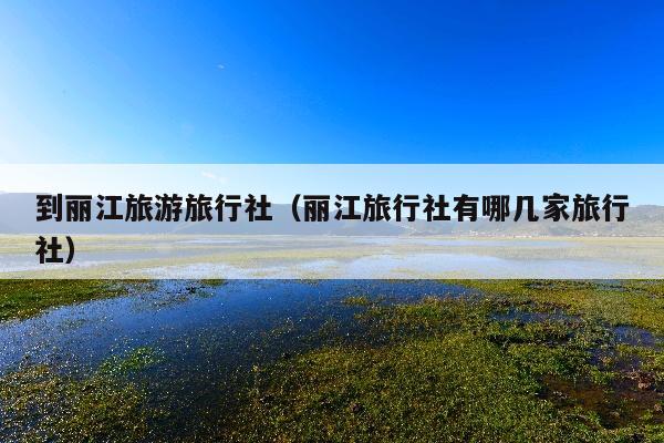 到丽江旅游旅行社（丽江旅行社有哪几家旅行社）