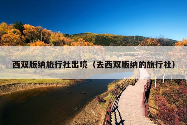 西双版纳旅行社出境（去西双版纳的旅行社）