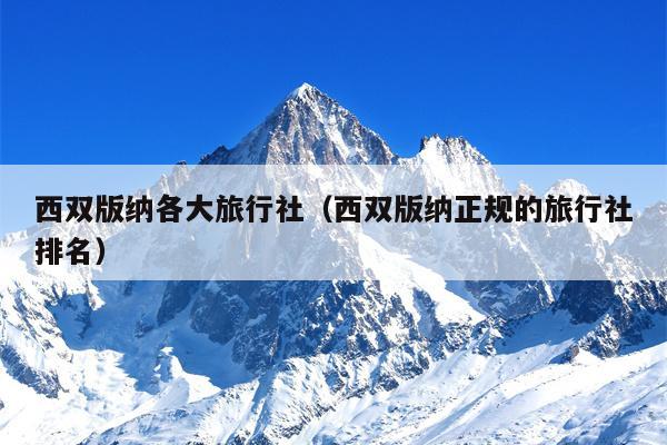 西双版纳各大旅行社（西双版纳正规的旅行社排名）