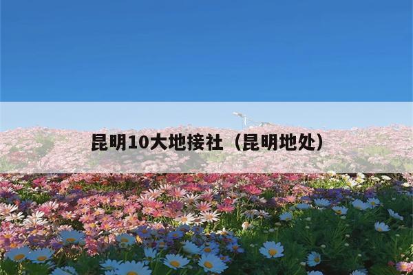 昆明10大地接社（昆明地处）
