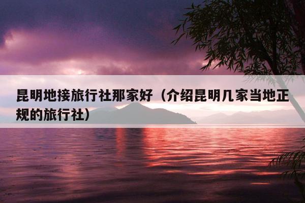 昆明地接旅行社那家好（介绍昆明几家当地正规的旅行社）
