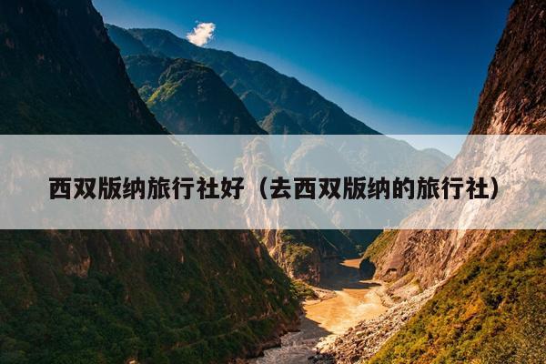 西双版纳旅行社好（去西双版纳的旅行社）