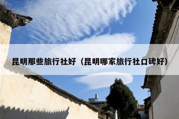 昆明那些旅行社好（昆明哪家旅行社口碑好）
