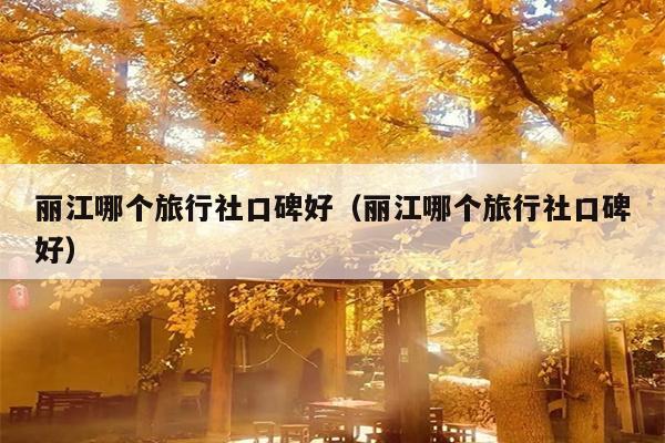 丽江哪个旅行社口碑好（丽江哪个旅行社口碑好）
