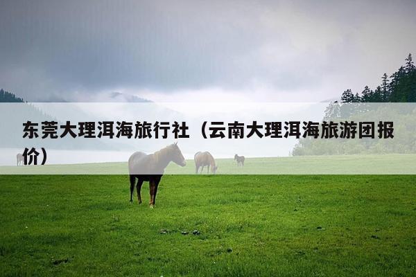 东莞大理洱海旅行社（云南大理洱海旅游团报价）