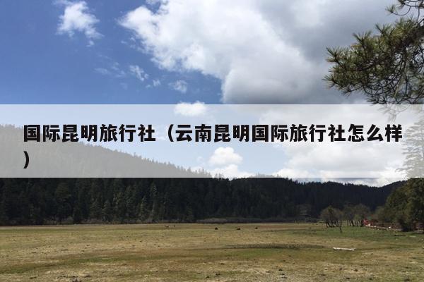 国际昆明旅行社（云南昆明国际旅行社怎么样）