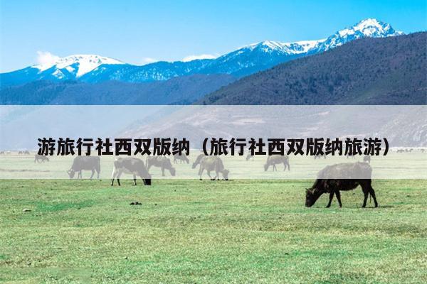 游旅行社西双版纳（旅行社西双版纳旅游）