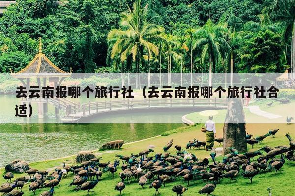去云南报哪个旅行社（去云南报哪个旅行社合适）