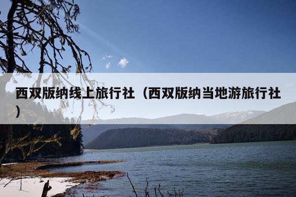 西双版纳线上旅行社（西双版纳当地游旅行社）