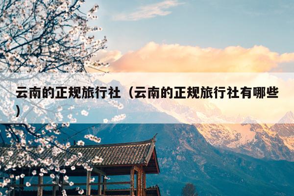 云南的正规旅行社（云南的正规旅行社有哪些）