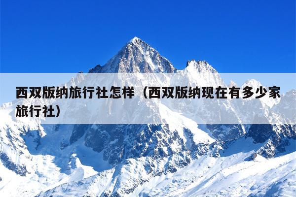 西双版纳旅行社怎样（西双版纳现在有多少家旅行社）