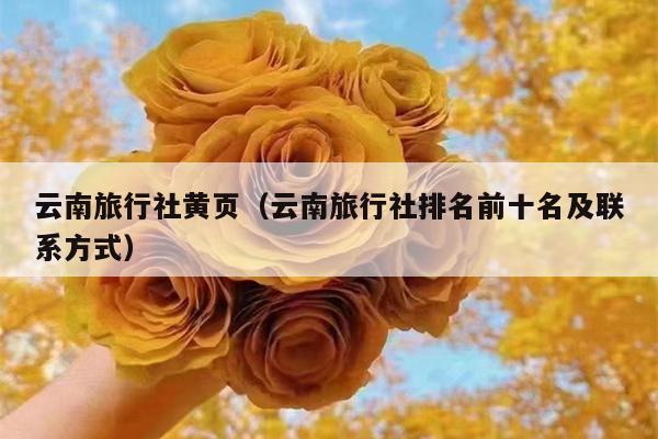 云南旅行社黄页（云南旅行社排名前十名及联系方式）