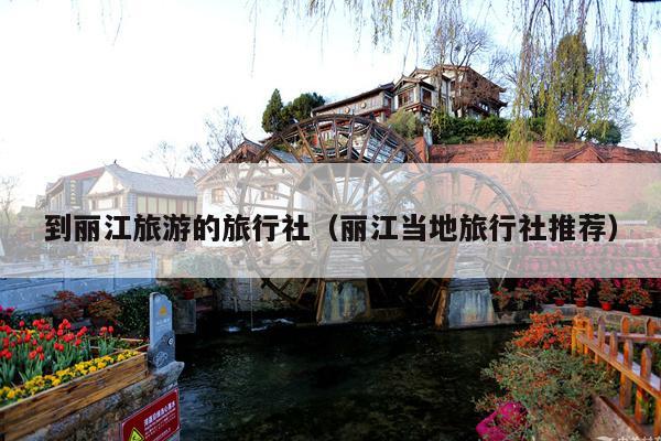 到丽江旅游的旅行社（丽江当地旅行社推荐）