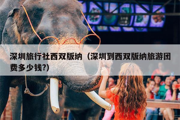 深圳旅行社西双版纳（深圳到西双版纳旅游团费多少钱?）