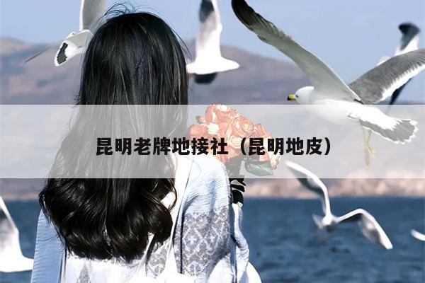 昆明老牌地接社（昆明地皮）