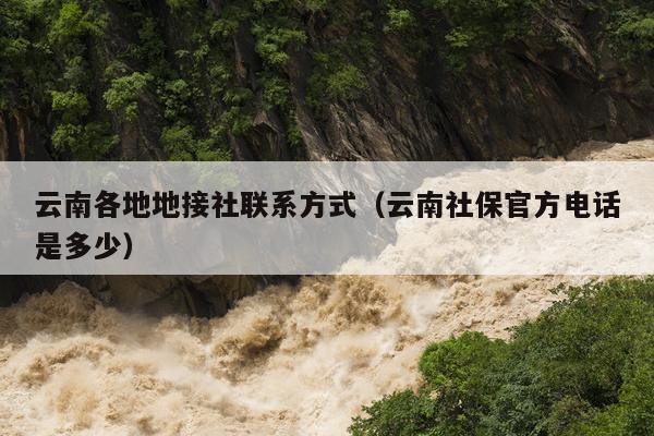 云南各地地接社联系方式（云南社保官方电话是多少）
