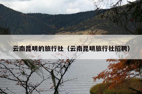 云南昆明的旅行社（云南昆明旅行社招聘）