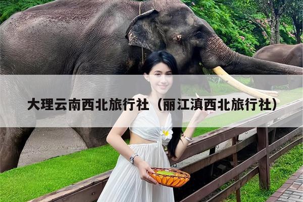 大理云南西北旅行社（丽江滇西北旅行社）
